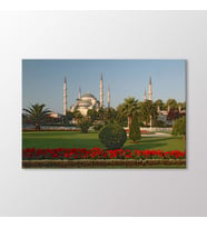 Arty Tablo Sultanahmet Camii Tablo (Karışık)