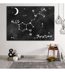 Grabovoi Meletonin Aşk Mutluluk Formülü Yaşam Çiçeği Kanvas Tablo