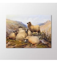 Arty Tablo Sheep in The Highlands Tablo (Karışık)