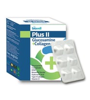 Biowell Plus II Glucosamine Chondroitin MSM + Collagen