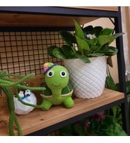 Amigurumi yeşil kaplumbağa