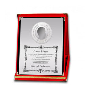 Kişiye Özel Fotoğraflı Canım Babam Ödül Orta Boy Plaket