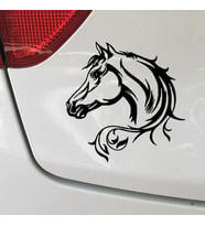 At Deseni Sticker Araba Yapıştırma