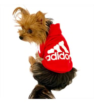 Kırmızı Adidog Kapşonlu Köpek Sweatshirt Köpek Kazağı