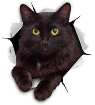 Siyah kedi yırtık  araba Sticker su geçirmez çıkartma