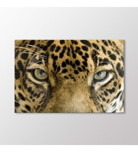 Arty Tablo Leopar Tablo (Karışık)