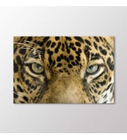 Arty Tablo Leopar Tablo (Karışık)