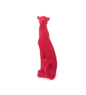 43 Cm Chita Biblo
