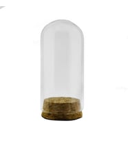 12 Adet 3,5 x 8cm Küçük Cam Ters Şişe Fanus Terrarium