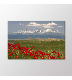 Arty Tablo Konya Tablo (Karışık)