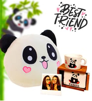 Kişiye Özel Fotoğraflı Panda Yastık Ve Kutulu Kupa Arkadaşa Hediye