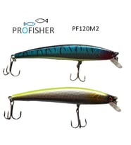 PROFISHER 2 Renk Set 2 Kanca Sahte Balık Yem 10 gr 11,5 cm Arrow