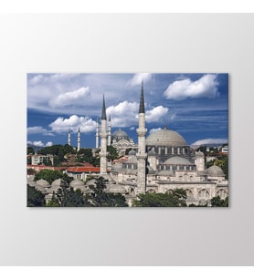 Arty Tablo Şehzadebaşı Cami ve Süleymaniye Tablo (Karışık)