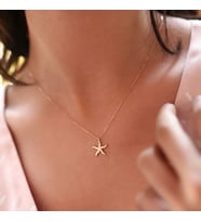 24 Ayar Has Altın Kaplama Deniz Yıldızı Kolye   925K Gümüş