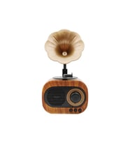B5 Nostaljik Mini Gramafon Radyo Usb - Aux - Bluetooth - Radyo Yüksek Ses Kalitesi