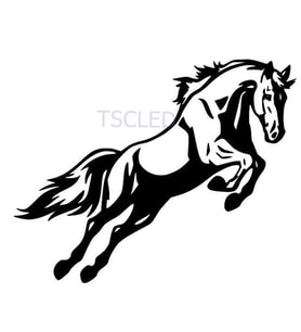 At Araba Sticker Araba Yapıştırma