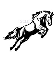 At Araba Sticker Araba Yapıştırma