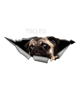 Pug Pet komik araba Sticker kişiselleştirilmiş