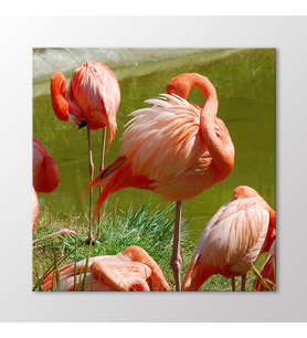 Arty Tablo flamingolar Tablo (Karışık)