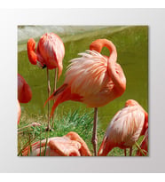 Arty Tablo flamingolar Tablo (Karışık)