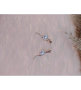 Hdmarketim Swarovski Taşlı İncili Doğa Temalı Küpe