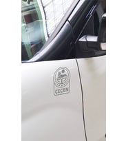 Çeçen Bayrak Araba Sticker  Etiket Gümüş (15 x 11 cm) 2 Adet