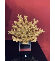 GOLD MERCAN-KM201-7