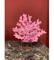 PEMBE MERCAN-KM201-15