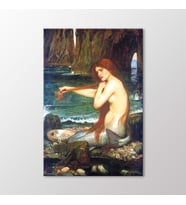 Arty Tablo Deniz Kızı, 1901 Tablo (Karışık)