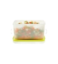 Tupperware Alaska Saklama Kabı 2.5 lt