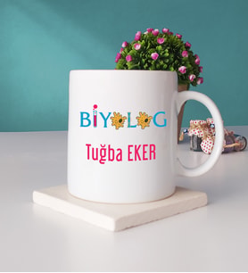 Biyolog Hediye Kupa Bardak ve Taş Bardak Altlığı Hediye Seti