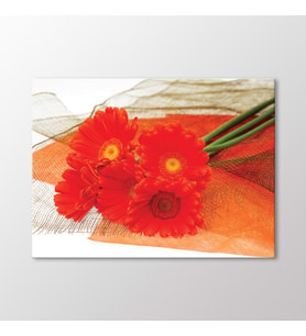 Arty Tablo Kırmızı Krizantemler Tablo (Karışık)