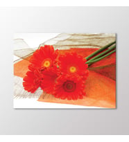 Arty Tablo Kırmızı Krizantemler Tablo (Karışık)