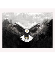 1000 parça pastel kartal puzzle