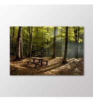 Arty Tablo Ağaçlar Tablo (Karışık)