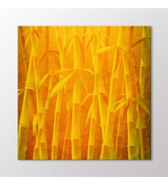 Arty Tablo Bambu Tablo (Karışık)