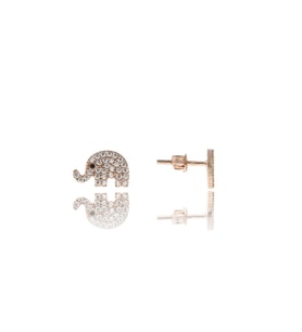 Fil Küpe Nano Zirkon Taşlı Rose Gold Kaplama 925 Ayar Gümüş