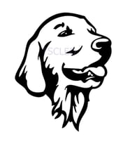 Golden Retriever köpek araba çıkartmalar Sticker
