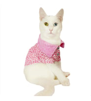 Pink Leo Cutie Polo Yaka Tişört Kedi Kıyafeti  Kedi Elbisesi