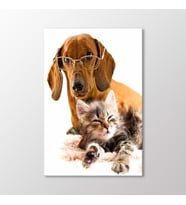 Arty Tablo Köpek ve Kedi Tablo (Karışık)