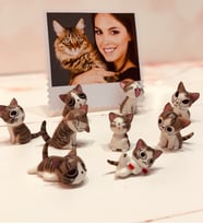 Kişiye Özel Polo Card Fotoğraflı Sevimli Kedicikler Hediye Seti