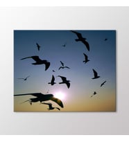 Arty Tablo Martılar Tablo (Karışık)