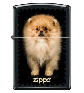 Zippo Çakmak Z-CI401748-218