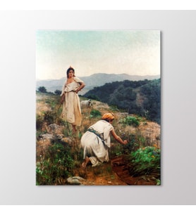 Arty Tablo Yabani Ot Toplayanlar 1883 Tablo (Karışık)