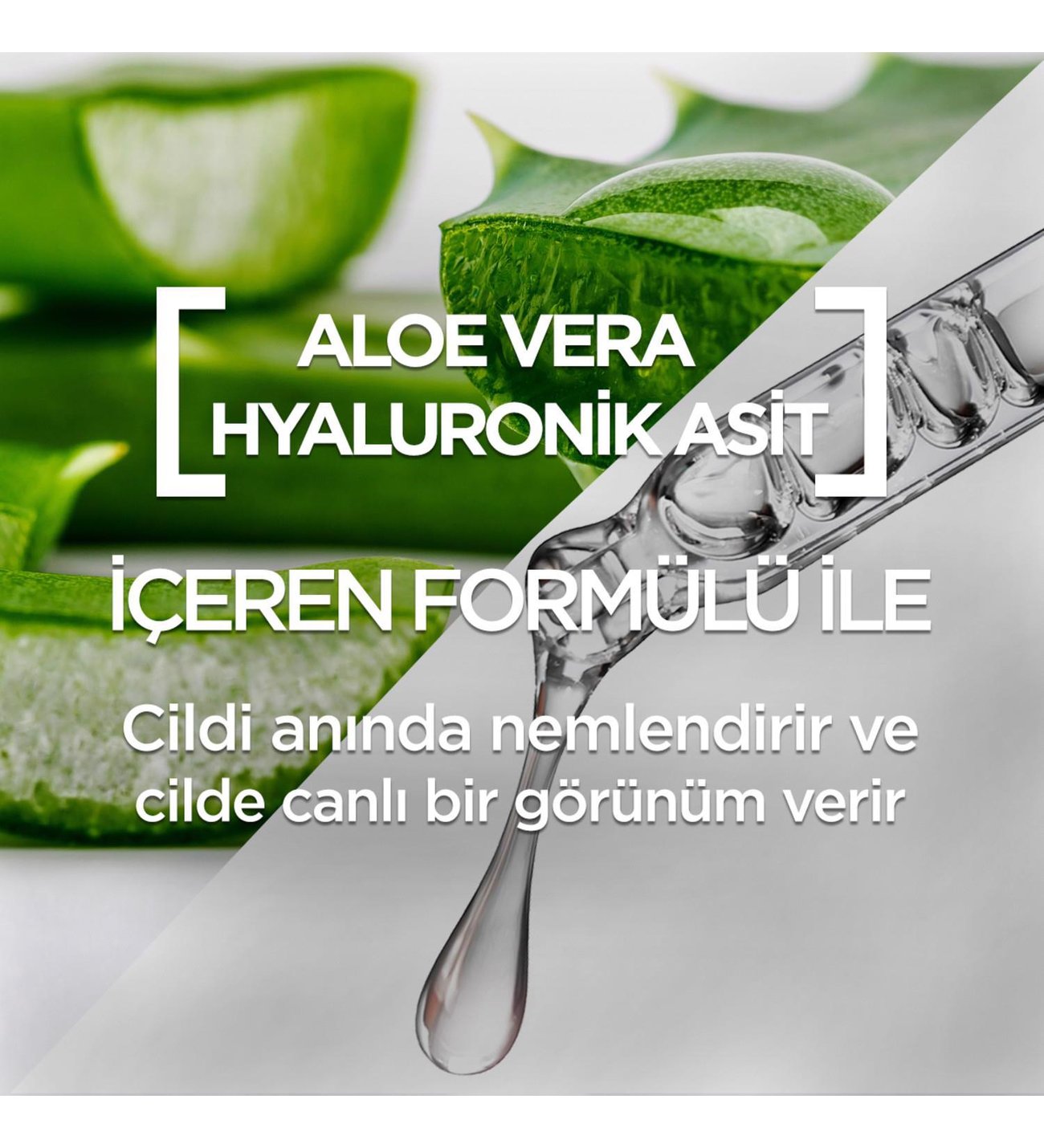 aloe vera terra Aloevera Healing Plant Gel main image 0