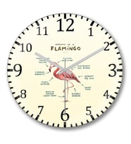 Bir Flamingo Anatomisi Duvar Saati Bombeli Gercek Cam