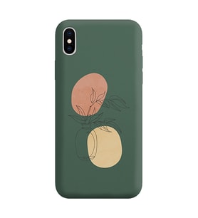 Koyu Yeşil Lansman Telefon Kılıfı Iphone Xs Max