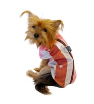 Pink Stars Su itici Yağmurluk Köpek Yağmurluğu  (Pembe)