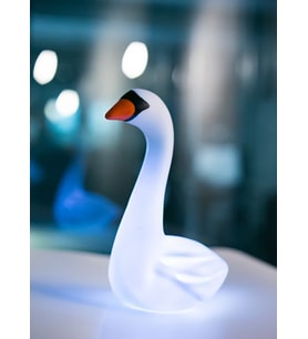 Dhink Kuğu Gece Lambası
