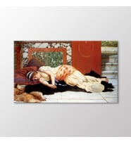 Arty Tablo Endymion Tablo (Karışık)
